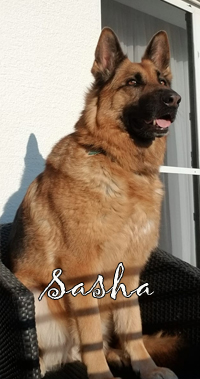 Tierpension Biberach